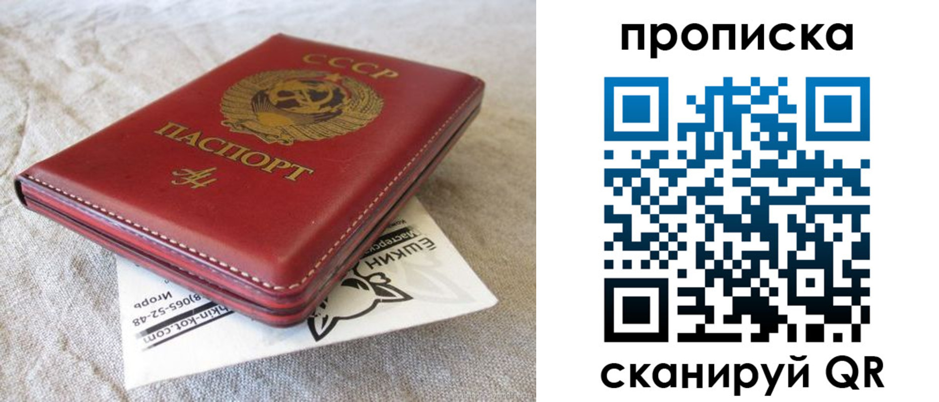 прописка для школы в Белгороде